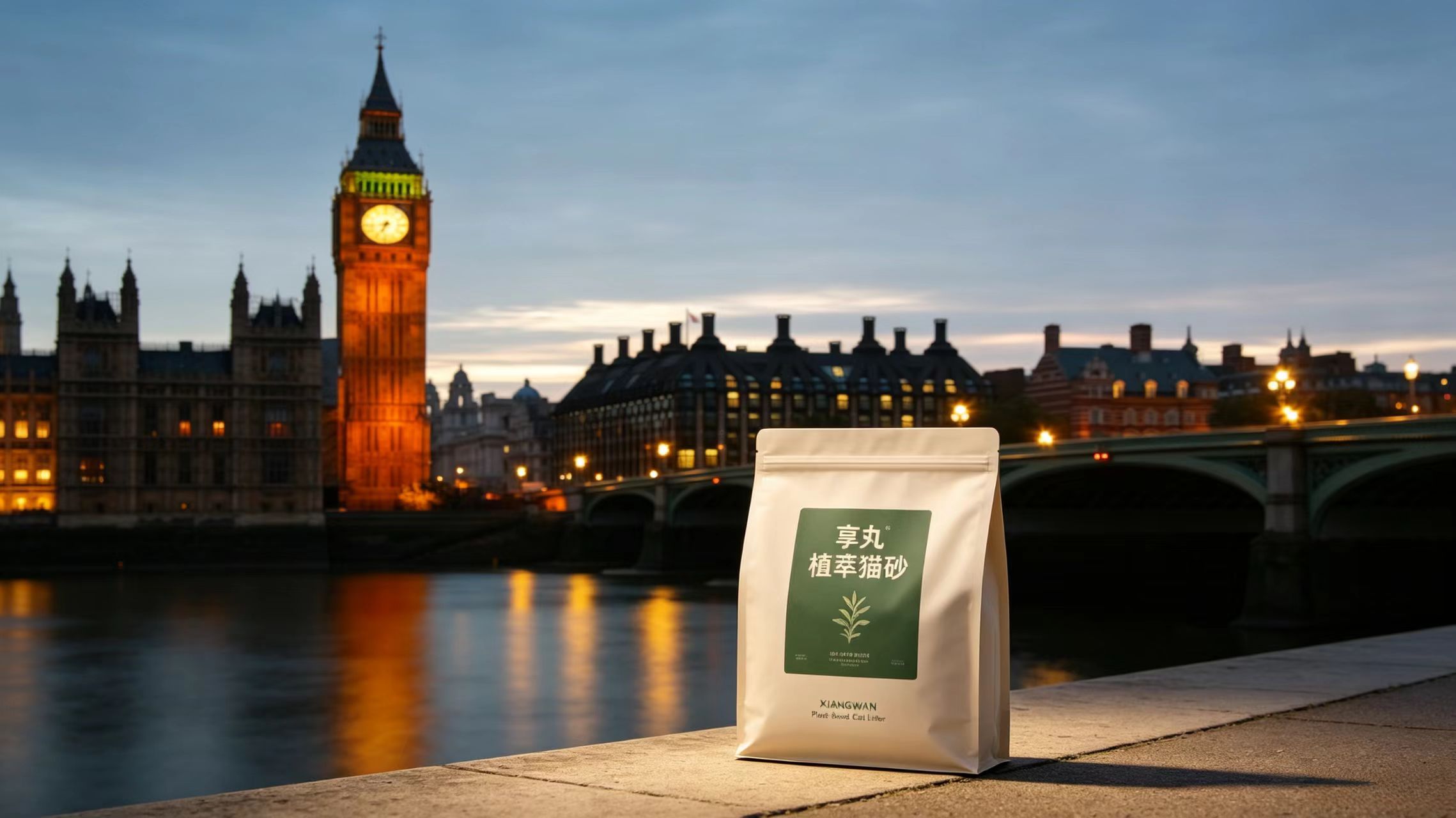 XIANGWAN plant litter in London — Big Ben at dusk